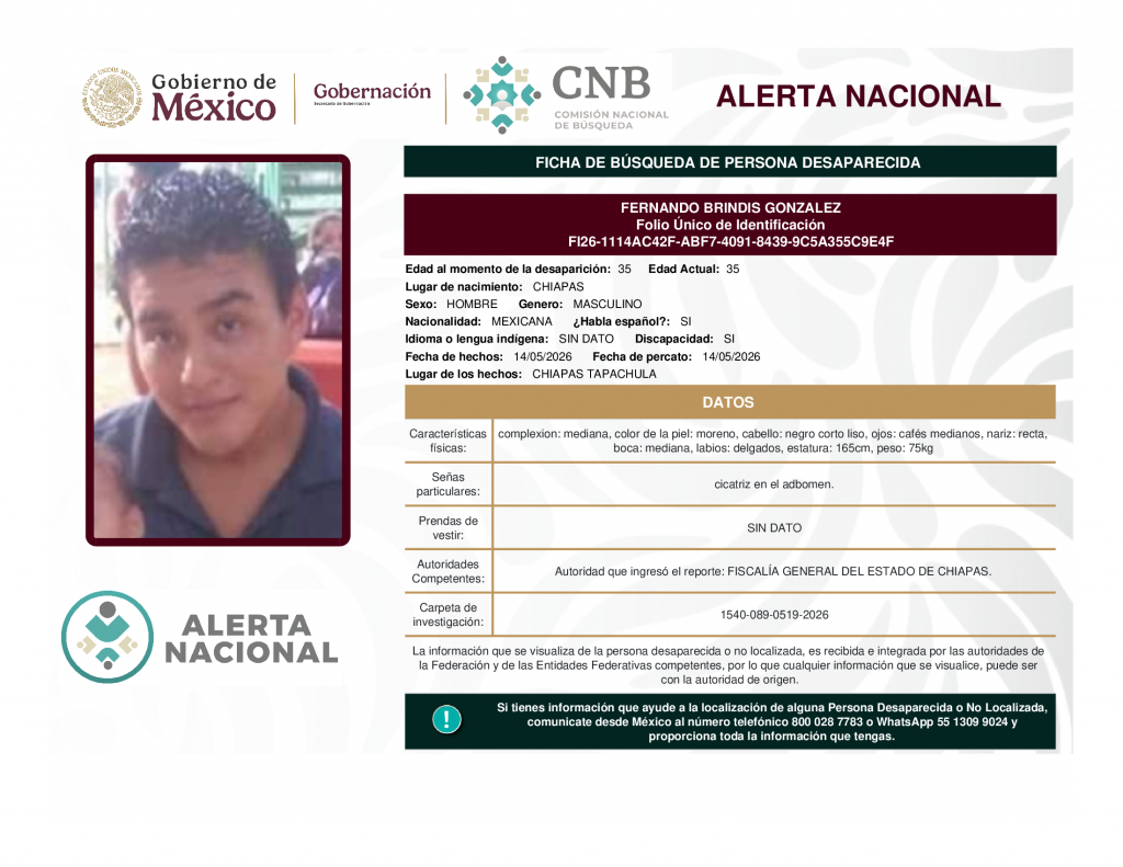 FERNANDO BRINDIS GONZALEZ
