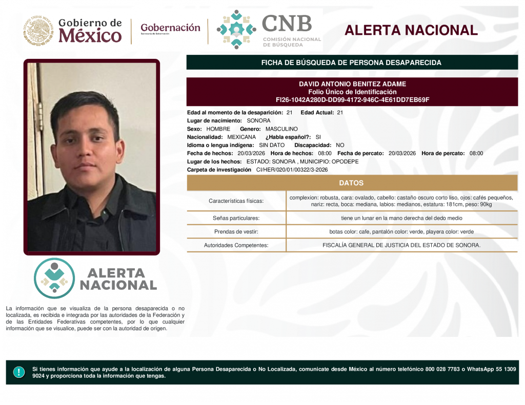 DAVID ANTONIO BENITEZ ADAME