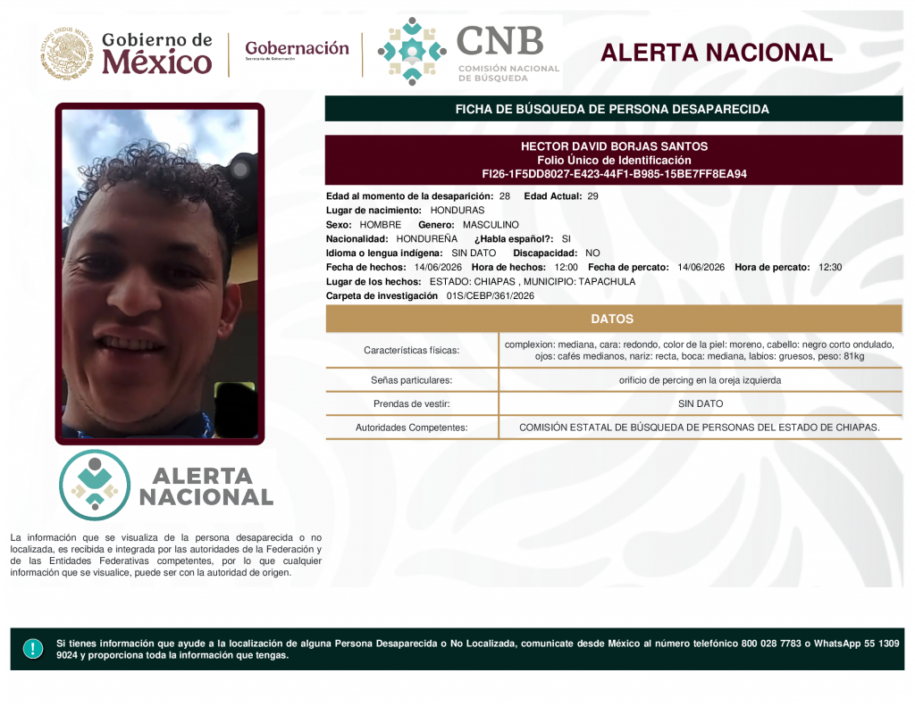 HECTOR DAVID BORJAS SANTOS